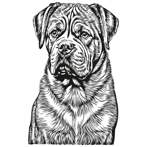 Dogue Bordeaux Σκυλί Συντροφιάς Εικονογράφηση Σκίτσο Μαύρο Και Άσπρο Διάνυσμα — Διανυσματικό Αρχείο