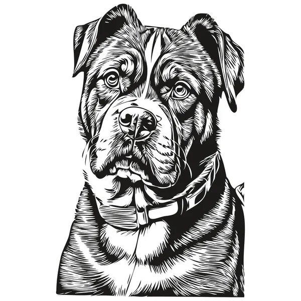 Dogue Bordeaux Ritratto Del Cane Vettore Disegno Mano Animale Tatuaggio — Vettoriale Stock