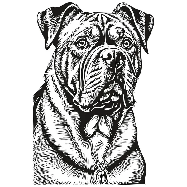 波尔多狗写实铅笔矢量画图 狗脸黑白相间的线条艺术图解 — 图库矢量图片