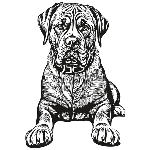 Dogue Bordeaux Dog Portrait Vector Animal Hand Drawing Tattoo Tshirt — Stock Vector