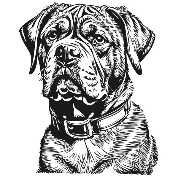 Dogue Bordeaux Pes Realistický Pet Ilustrace Ruční Kresba Tvář Černobílá — Stockový vektor