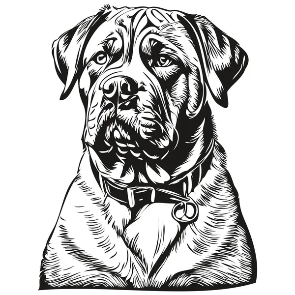 Dogue Burdeos Perro Realista Mascota Ilustración Dibujo Mano Cara Vector — Archivo Imágenes Vectoriales