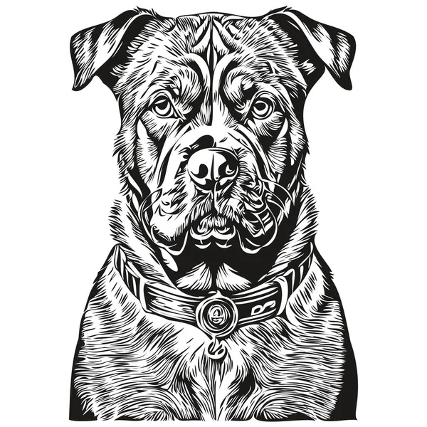 波尔多犬的人物形象 剪贴画的艺术载体宠物画的黑白素描 — 图库矢量图片