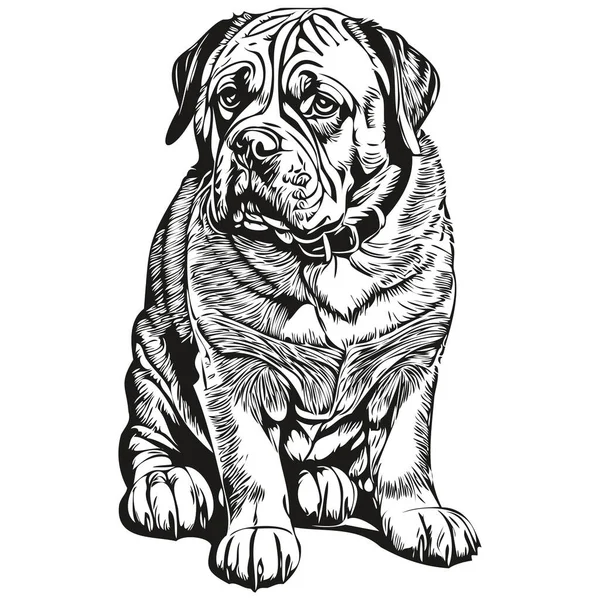 波尔多犬T恤黑白相间 可爱有趣的轮廓画图矢量 — 图库矢量图片
