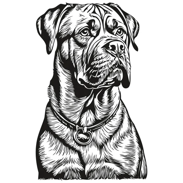 波尔多犬T恤黑白相间 可爱有趣的轮廓素描矢量绘图 — 图库矢量图片