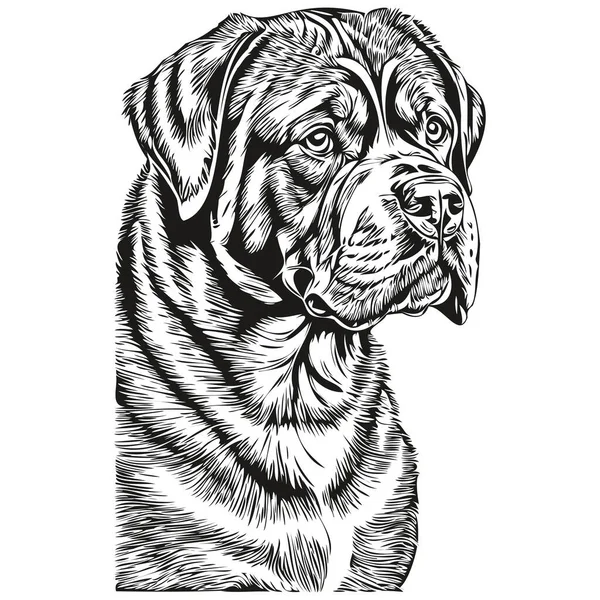 Dogue Bordeaux Chien Graphiques Vectoriels Dessin Main Crayon Animal Ligne — Image vectorielle