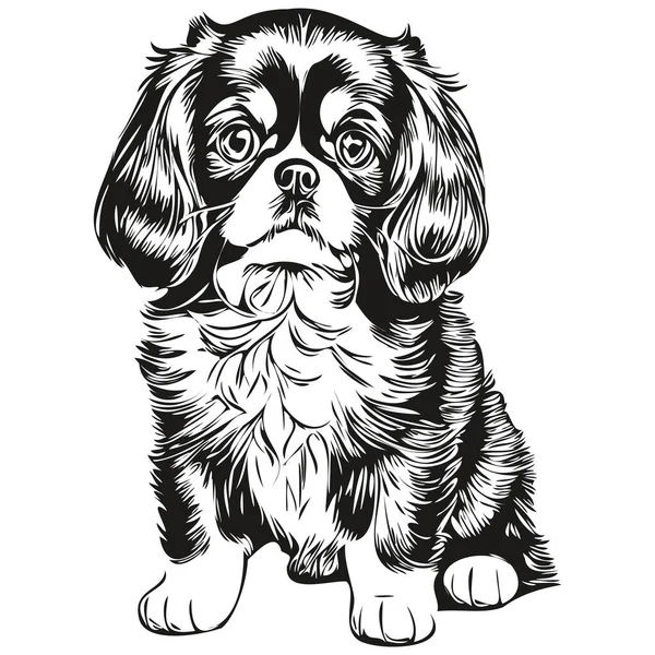 Engelska Leksak Spaniel Hund Svart Ritning Vektor Isolerad Ansikte Målning — Stock vektor