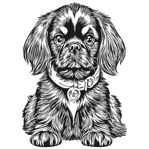 日本語おもちゃスペイン犬の品種の線画 クリップアート動物の手の描画ベクトル黒と白 — ストックベクタ