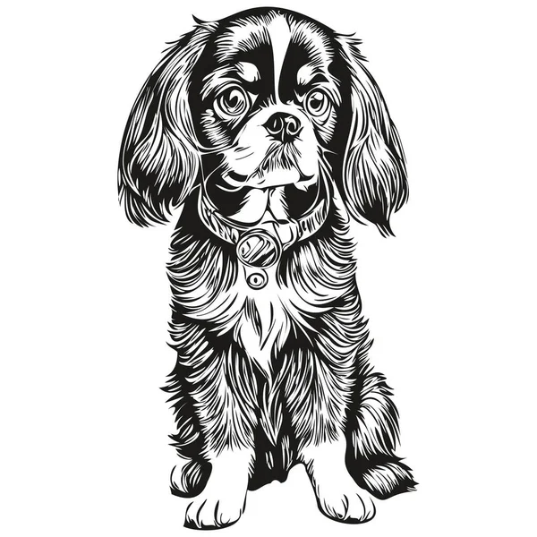 英语玩具犬品种线条图 剪贴画动物手绘矢量黑白逼真品种宠物 — 图库矢量图片