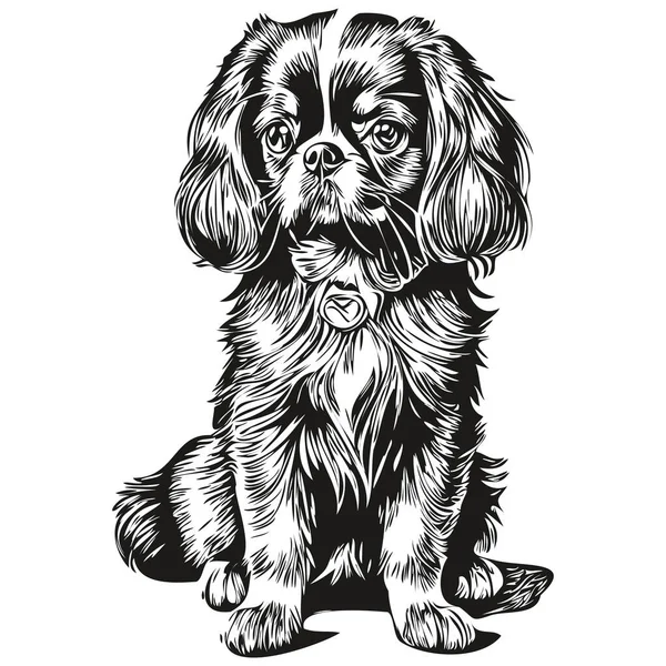 English Toy Spaniel Dog Breed Line Drawing Clip Art Animal — Stock Vector