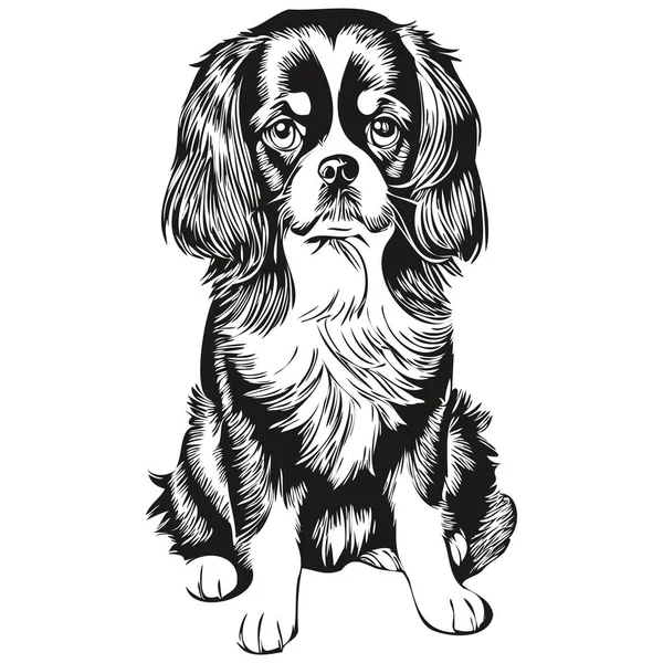 英語おもちゃスペイン犬刻まれたベクトルの肖像画 黒と白の現実的な品種のペットで顔の漫画のヴィンテージの描画 — ストックベクタ