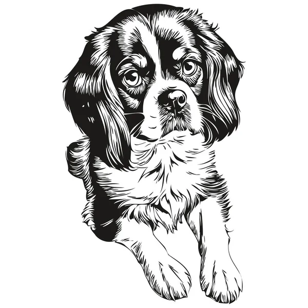 English Toy Spaniel Dog Head Line Drawing Vector Hand Drawn — ストックベクタ