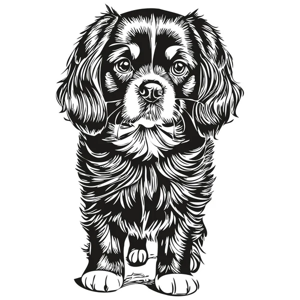 English Toy Spaniel Dog Engraved Vector Portrait Face Cartoon Vintage — Stock Vector