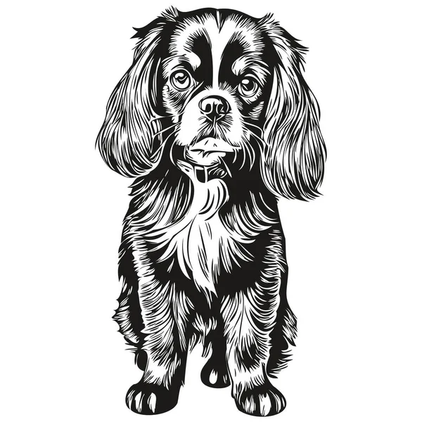 日本語おもちゃスペイン犬の手描きのロゴ黒と白のラインアートペットイラスト現実的な品種のペット — ストックベクタ