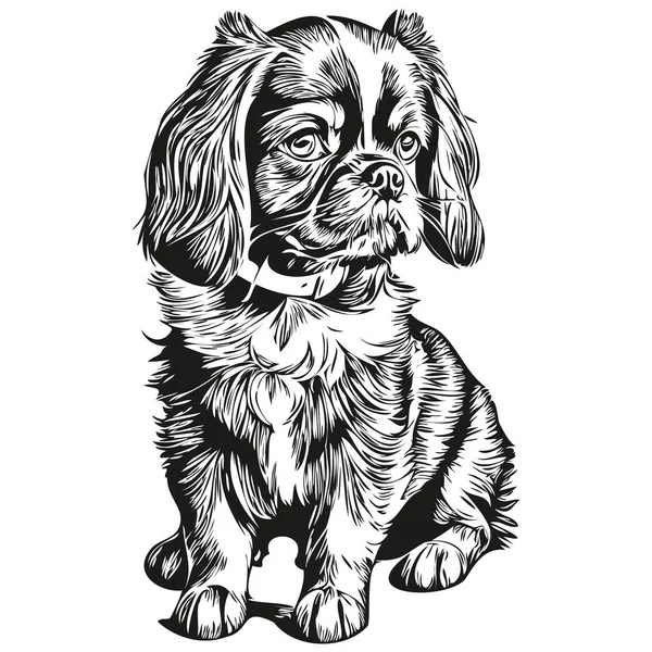 English Toy Spaniel Dog Face Vector Portrait Funny Outline Pet — Stock Vector