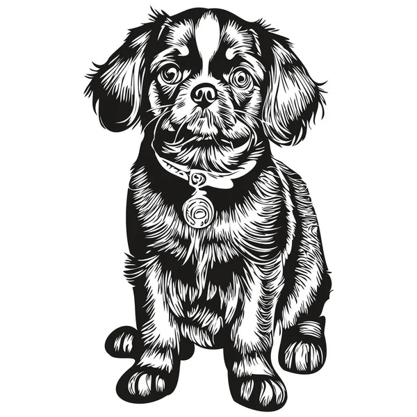 英語おもちゃスペイン語の犬の線図 黒と白のインクのスケッチ顔の肖像画ベクトルスケッチの描画 — ストックベクタ