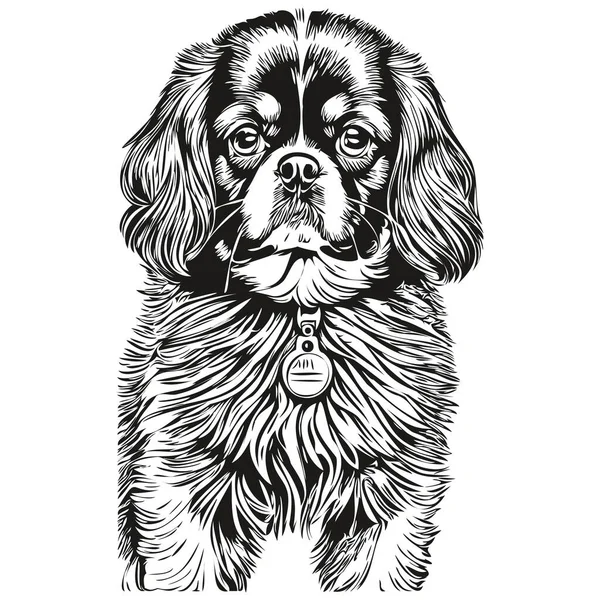 English Toy Spaniel Dog Head Line Drawing Vector Hand Drawn — Stock Vector