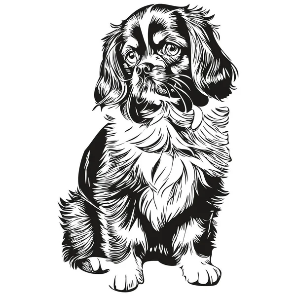 日本語おもちゃスペイン犬ラインイラスト 黒と白のインクのスケッチ顔の肖像画でベクトル現実的な品種のペット — ストックベクタ