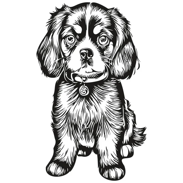 İngiliz Toy Spaniel köpek logo vektörü siyah-beyaz, klasik köpek kafası oymalı gerçekçi bir evcil hayvan.