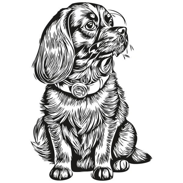 Russian Toy Spaniel Dog Line Illustration Black White Ink Sketch — стоковый вектор