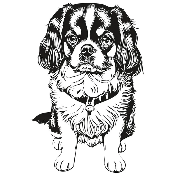 Engelska Leksak Spaniel Hund Kontur Penna Teckning Konstverk Svart Karaktär — Stock vektor