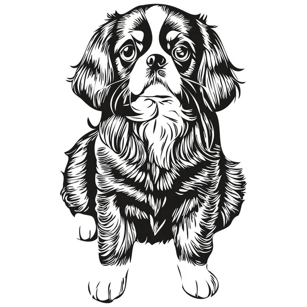 English Toy Spaniel Dog Outline Pencil Drawing Artwork Black Character — Stock Vector