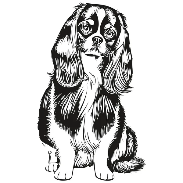 日本語おもちゃスペイン犬のペットのシルエット 動物のラインイラストの手が黒と白のベクトルを描いた — ストックベクタ
