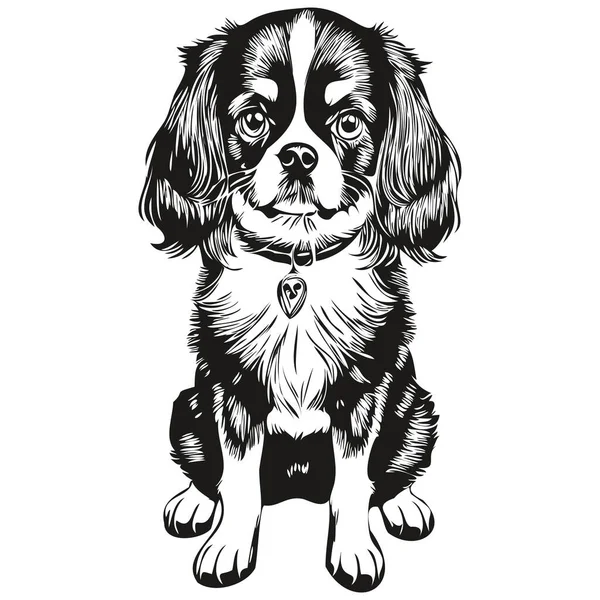 Engels Toy Spaniel Hond Huisdier Schets Illustratie Zwart Wit Graveren — Stockvector