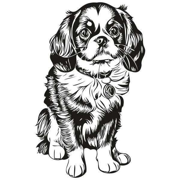 English Toy Spaniel Dog Realistic Pet Illustration Hand Drawing Face — Stock Vector