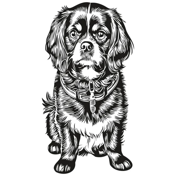 日本語おもちゃスペイン犬Tシャツ印刷黒と白 かわいい面白いアウトライン描画ベクトル現実的な品種ペット — ストックベクタ