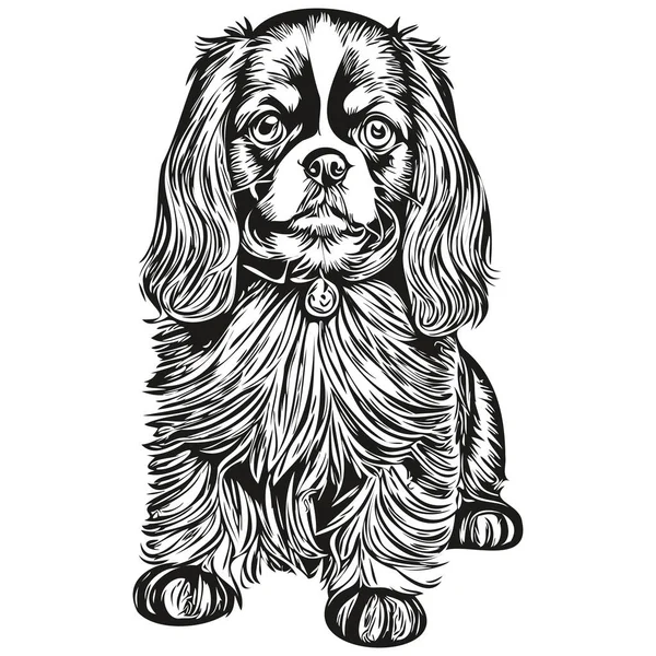 英语玩具西班牙狗写实铅笔画中的矢量 线条画中的狗脸黑白相间的写实宠物 — 图库矢量图片