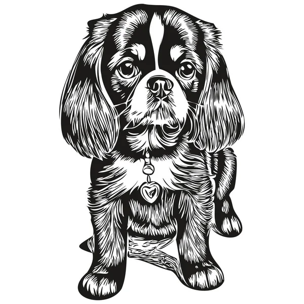 English Toy Spaniel Dog Realistic Pencil Drawing Vector Line Art — Stock Vector