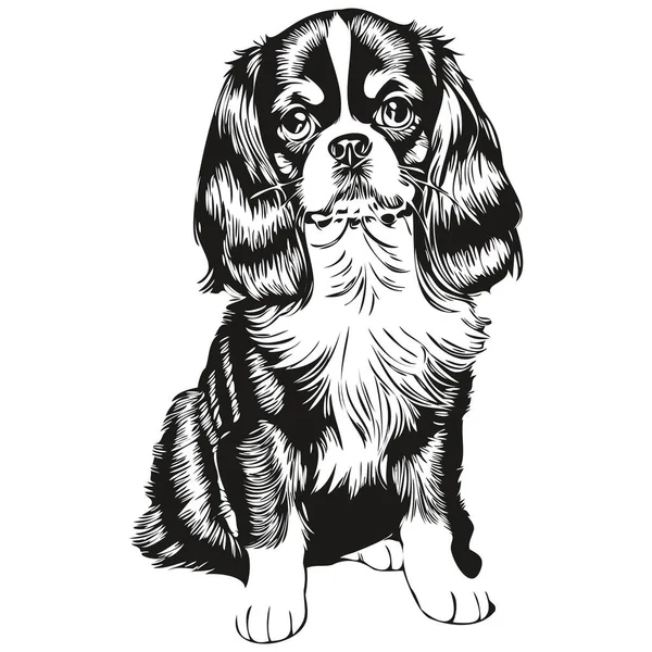 Russian Toy Spaniel Dog Silhouette Pet Character Clip Art Vector — стоковый вектор