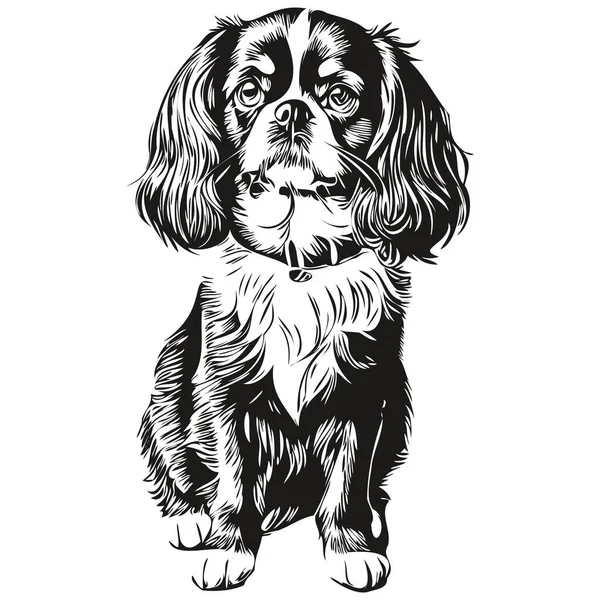 English Toy Spaniel Dog Vector Graphics Hand Drawn Pencil Animal — Stockový vektor