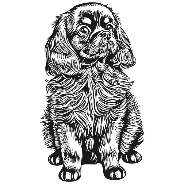 Russian Toy Spaniel Dog Vector Face Drawing Portrait Sketch Vintage — стоковый вектор