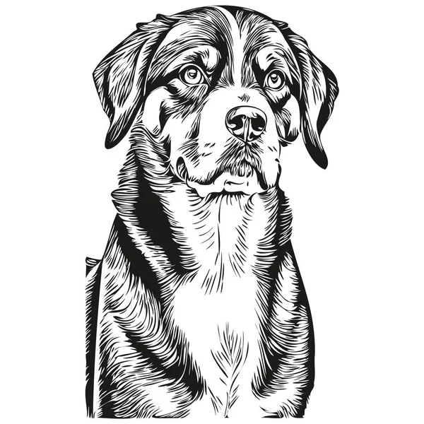 Entlebucher Гора Собака Нарисовал Логотип Рисунок Черно Белая Линия Живописи — стоковый вектор