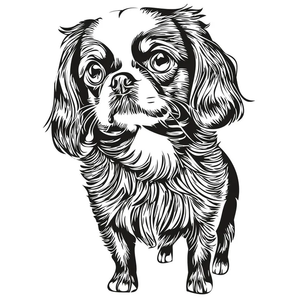 English Toy Spaniel Dog Shirt Print黒と白 かわいい面白いアウトライン描画ベクトルスケッチ描画 — ストックベクタ