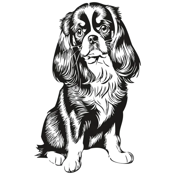 Russian Toy Spaniel Dog Vector Graphics Hand Drawn Pencil Animal — стоковый вектор
