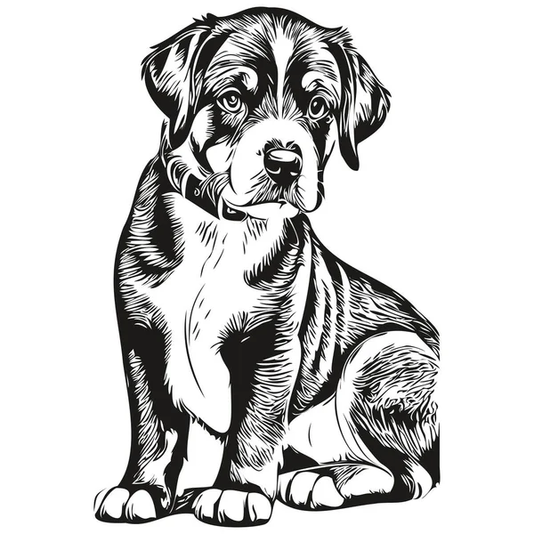 Entlebucher Mountain Dog Ink Sketch Drawing Vintage Tattoo Shirt Print — Stock Vector