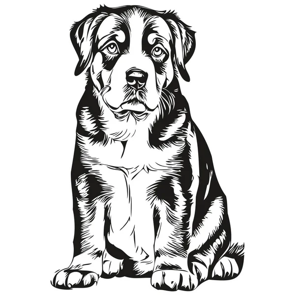 Entlebucher Mountain Dog Logo Vector Black White Vintage Cute Dog — Stock Vector