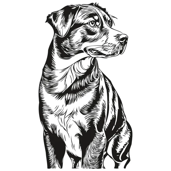 Entlebucher Mountain Dog Pet Silhouette Animal Line Illustration Hand Drawn — Stock Vector