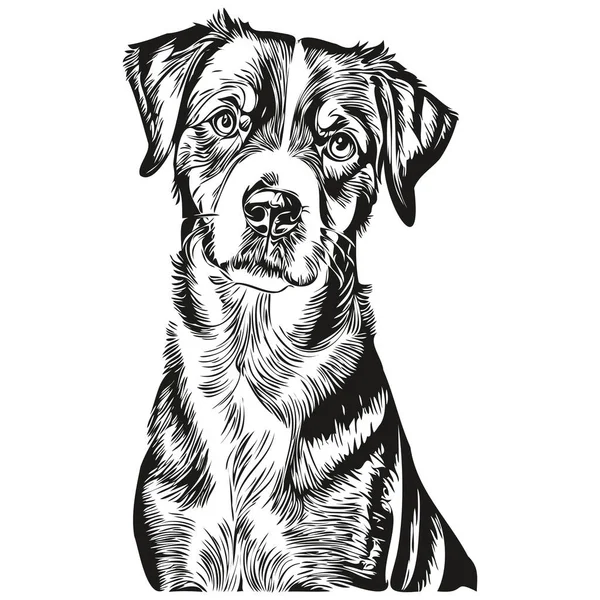 Entlebucher Mountain Dog Κατοικίδιο Ζώο Εικονογράφηση Σκίτσο Μαύρο Και Άσπρο — Διανυσματικό Αρχείο
