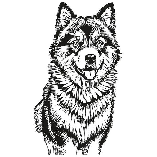 Finska Lapphund Hund Tecknad Ansikte Bläck Porträtt Svart Och Vitt — Stock vektor