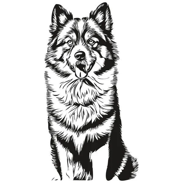 Finlandês Lapphund Cão Raça Linha Desenho Clip Arte Animal Mão — Vetor de Stock