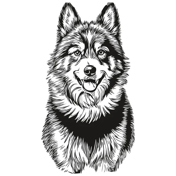 芬兰拉方德犬卡通画面部油墨肖像 黑白素描 T恤打印逼真品种宠物 — 图库矢量图片