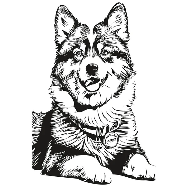 Finlandés Lapphund Perro Cara Vector Retrato Divertido Contorno Mascota Ilustración — Archivo Imágenes Vectoriales