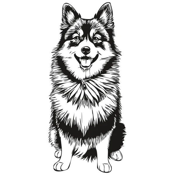 Finlandés Lapphund Perro Dibujado Mano Logo Dibujo Blanco Negro Línea — Vector de stock
