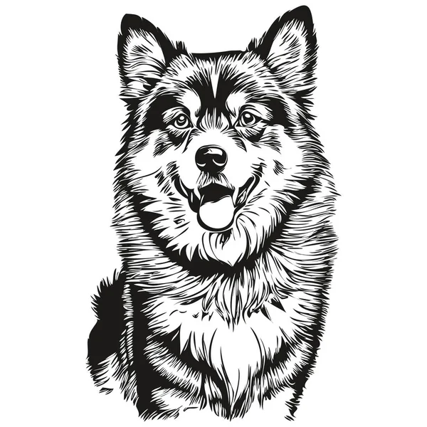 Finský Pes Lapphund Ručně Kreslené Logo Kreslení Černá Bílá Čára — Stockový vektor