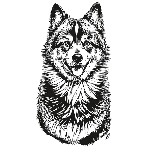 Finnischer Lapphund Isoliert Zeichnung Auf Weißem Hintergrund Kopf Haustierlinie Illustration — Stockvektor