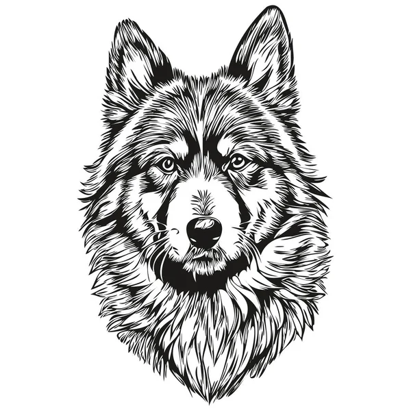 Fiński Lapphund Pies Odizolowany Rysunek Białym Tle Głowa Zwierzę Linii — Wektor stockowy